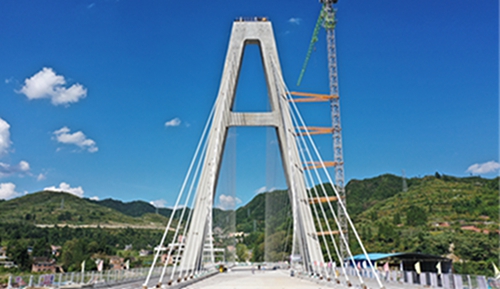 微信圖片_20240312165939 微信圖片_20240312165939