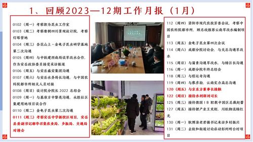 幻燈片11 幻燈片11